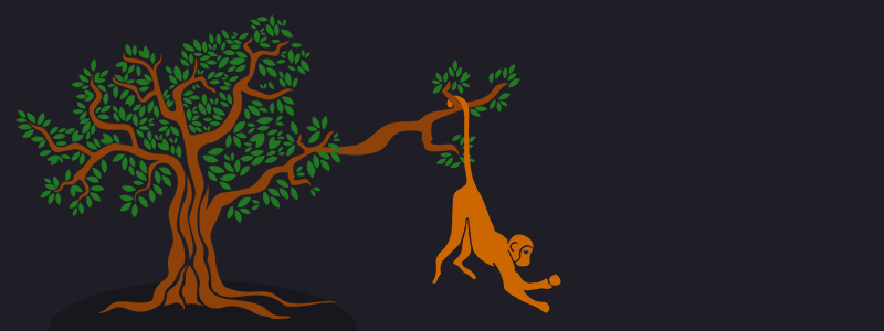 Monkey holding Branch